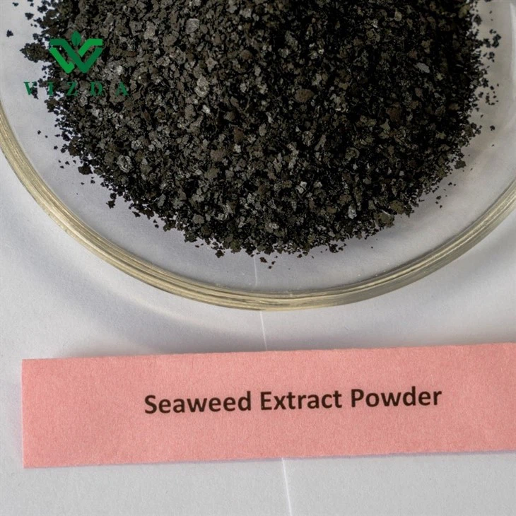 Bio-stimulant Seaweed Extract