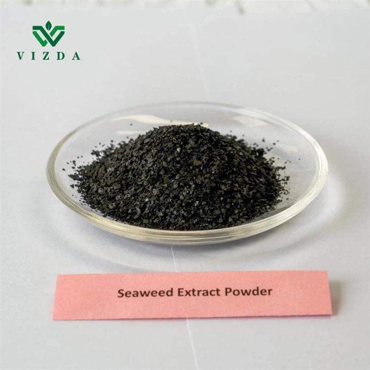 Plant Essential Nutrients Seaweed Extract